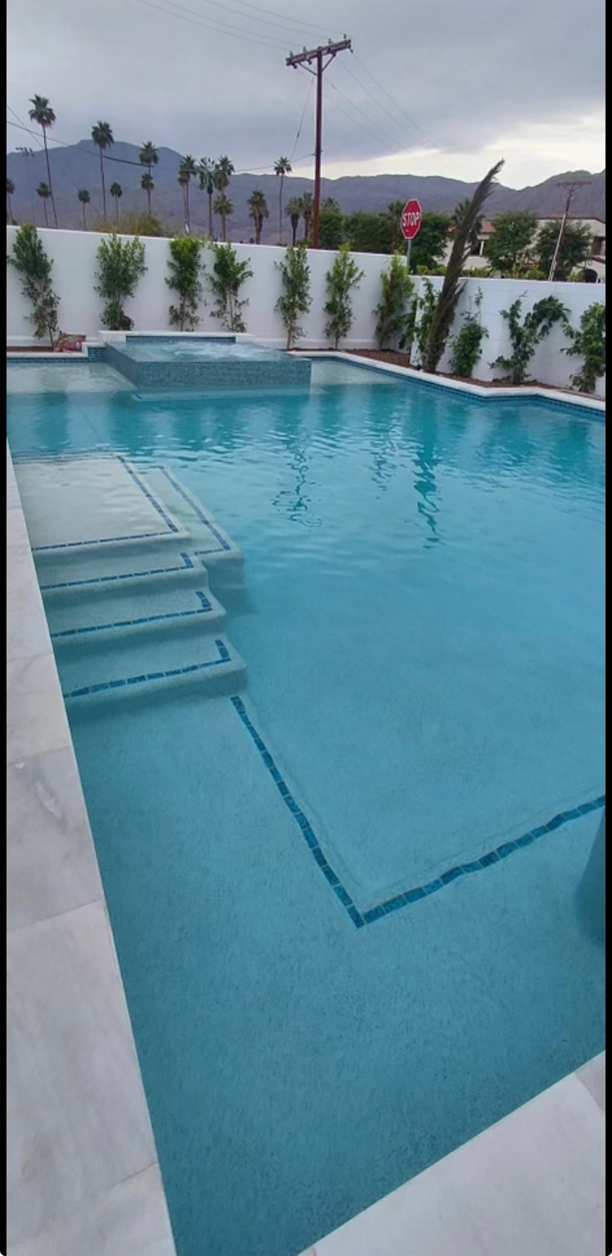 Modern swimming pool with turquoise water, white walls with climbing plants, palm trees and mountains visible in background
