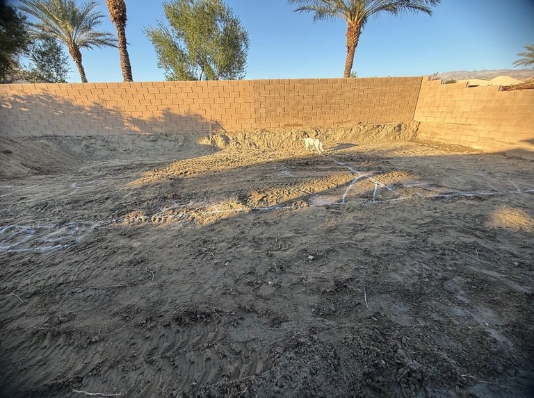 Arid desert landscape with sandy ground, palm trees, and a brick wall under clear blue sky